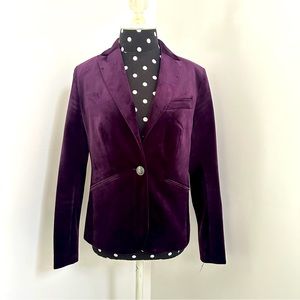 Purple Velvet Blazer! Willy Wonka Purple!!